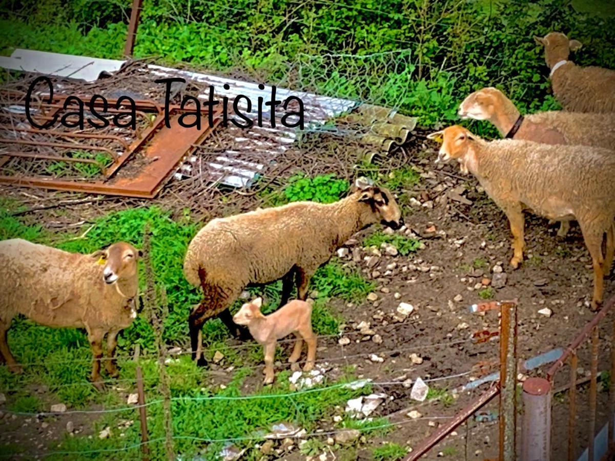 Casa Tatisita Luna Segura de la Sierra Eksteriør billede